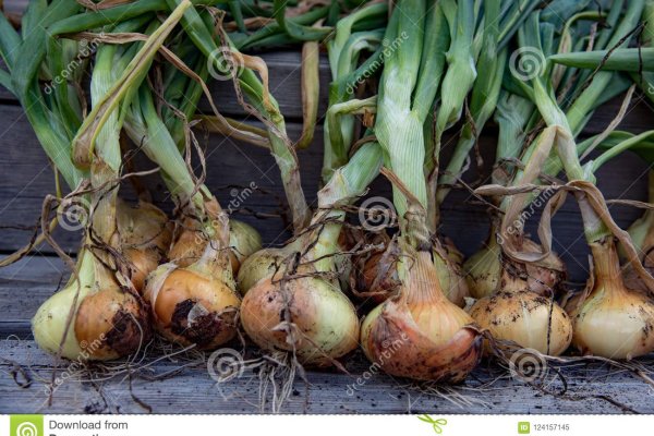 Kraken onion link