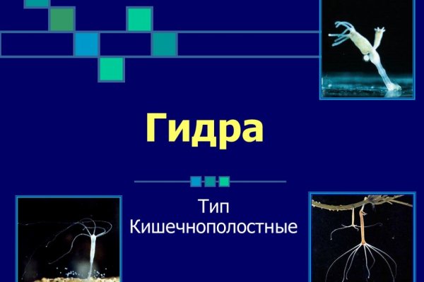 Ссылки на дарк нет