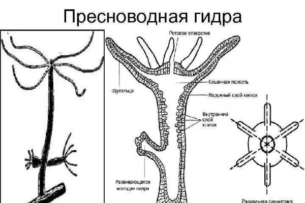 Кракен площадка торговая что это