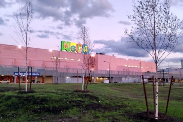 Забыл пароль от кракен