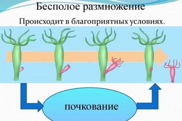 Кракен актуальная ссылка тор